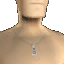 Friedrich's Fashionable Necklace