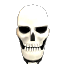 Screamin Skeleton Skull